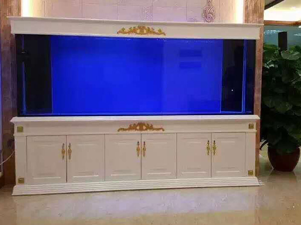 ��ͨʵľ��׶���