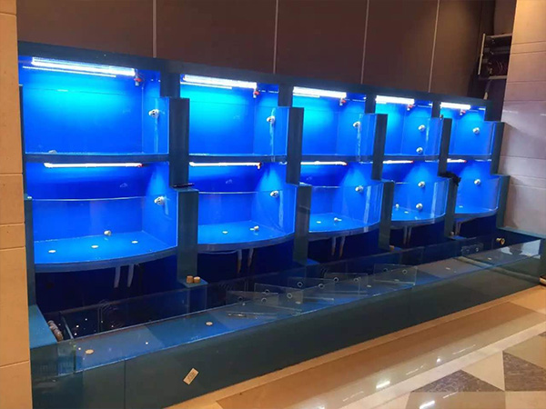 �Ƶ꺣�ʳ����