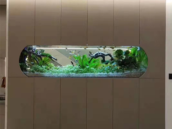 ��̬���